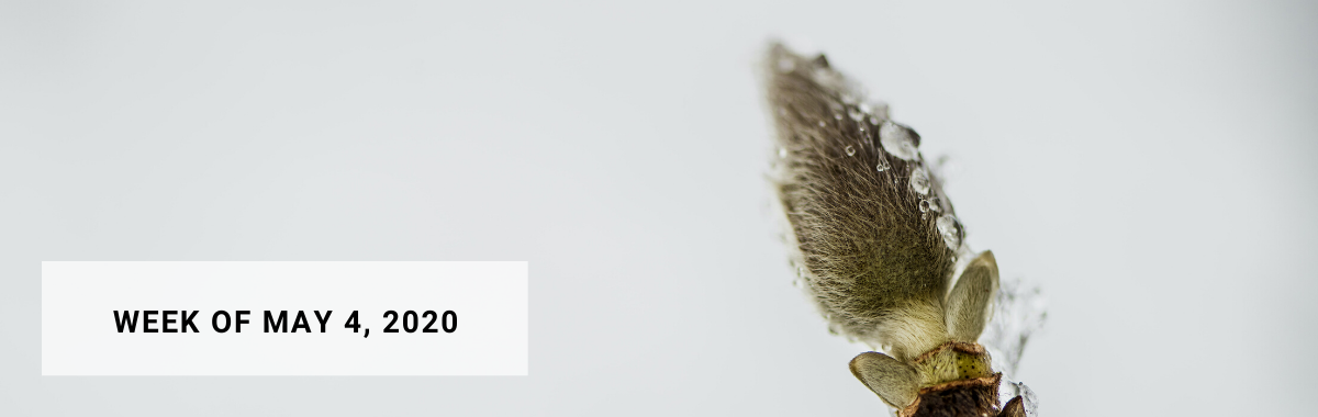 Businesses are Preparing the Return to Activity