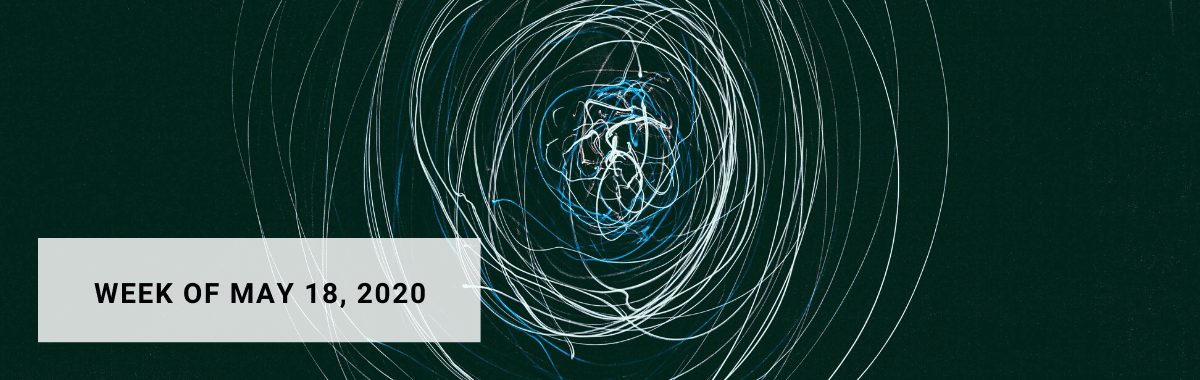 Weekly News: How brain-like should AI be?