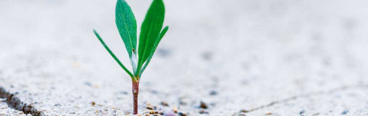 Formation professionnelle des indépendants : tout savoir